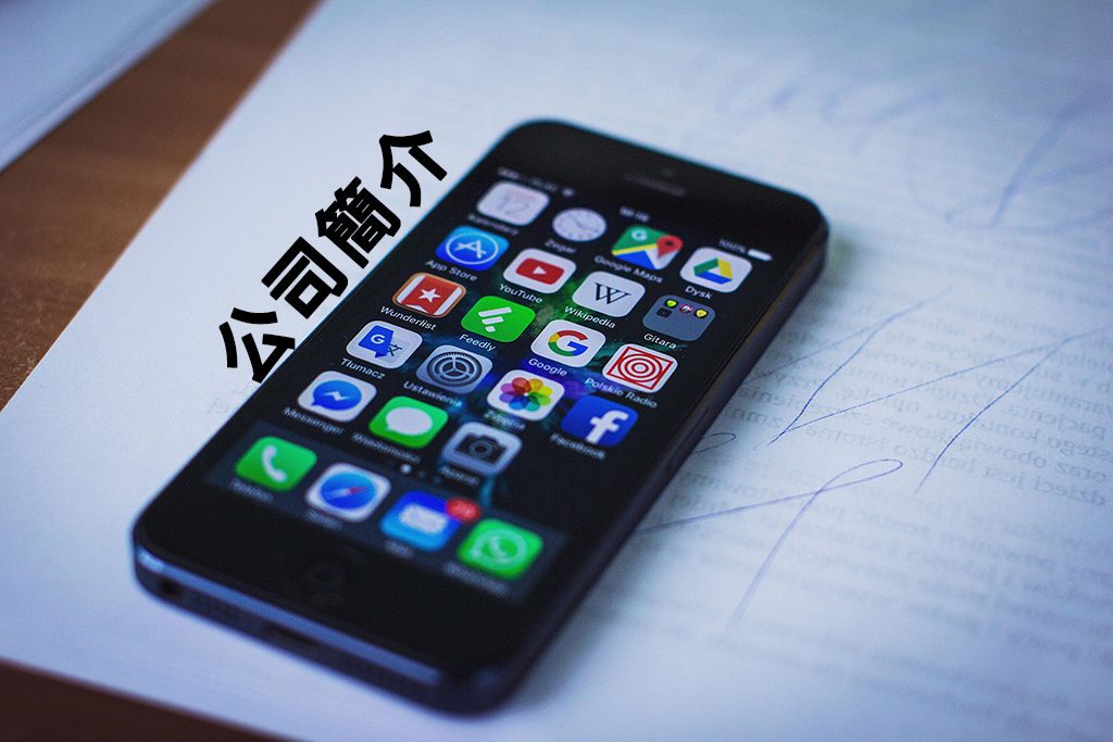 公司簡介